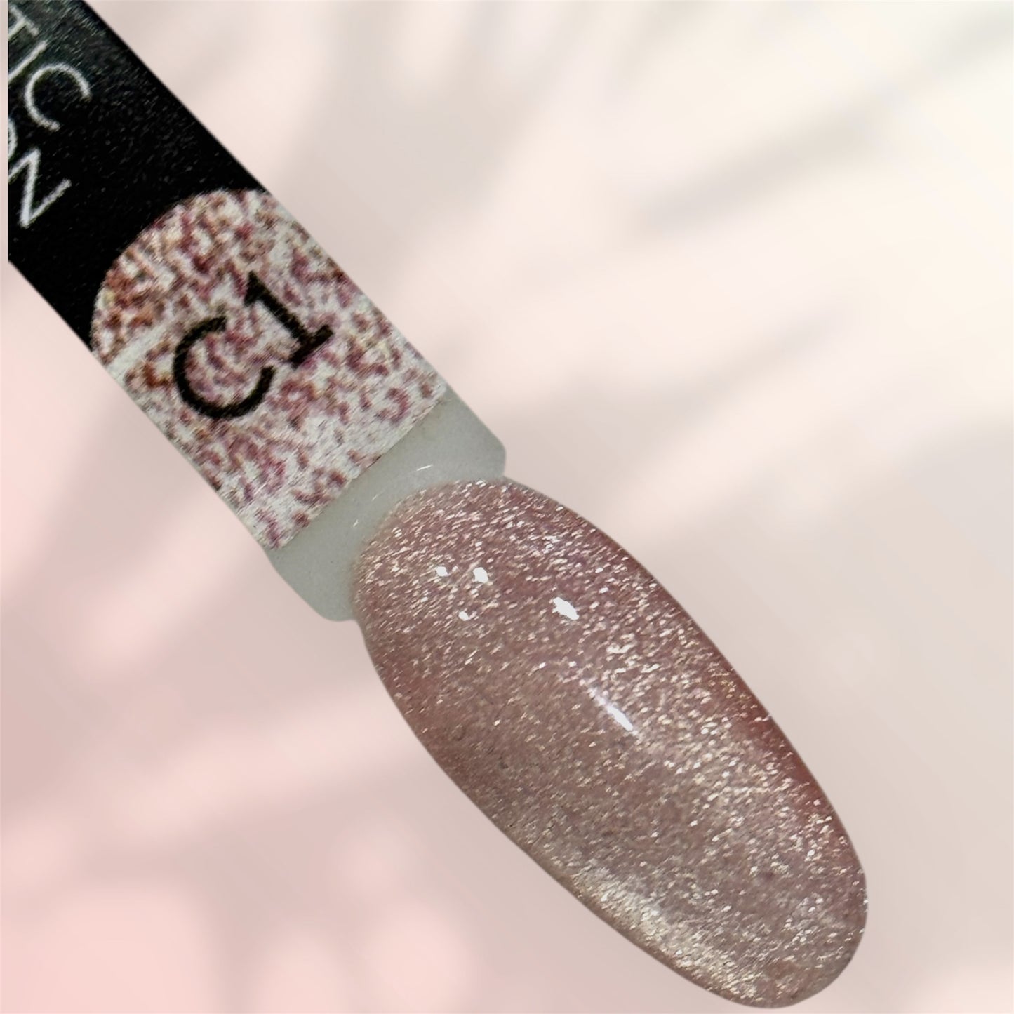 Gel Polish Magnetic C1
